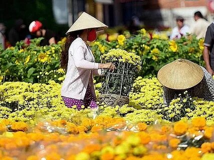 Hotspot Matrix và Dezus - thương hiệu thời trang nhanh của Việt Nam công bố Hoa hậu Hương_Khóa học biên tập video