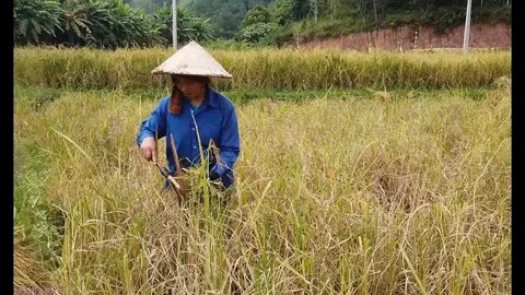 Nữ diễn viên có style